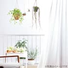 フェイクグリーン(ポトス ハンギングワイヤーバスケット) 9枚目画像