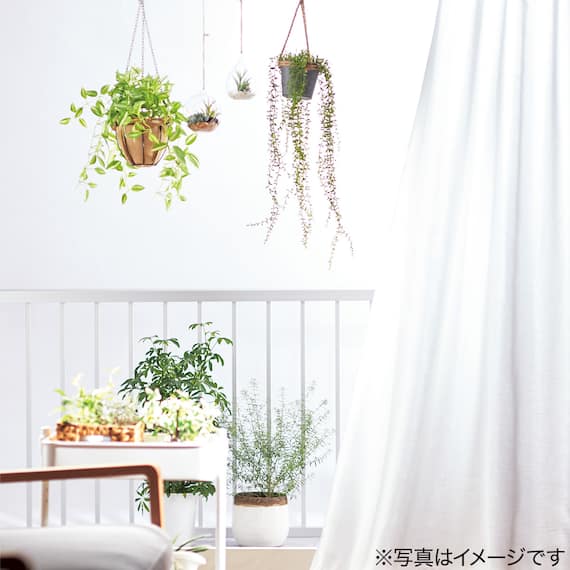 フェイクグリーン(ポトス ハンギングワイヤーバスケット) 9枚目画像
