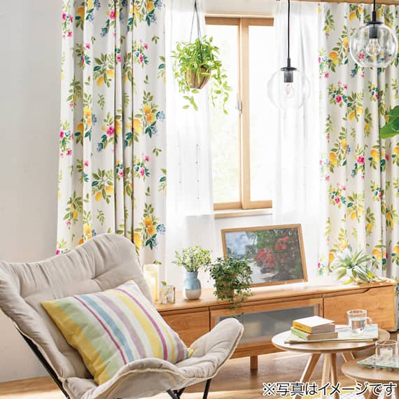 フェイクグリーン(ポトス ハンギングワイヤーバスケット) 11枚目画像