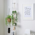 フェイクグリーン(ポトス ハンギングワイヤーバスケット) 12枚目画像