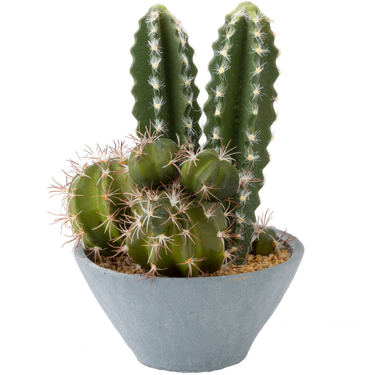 サボテン寄せ植え セメントポット通販 ニトリネット 公式 家具 インテリア通販 サボテン寄せ植え セメントポット通販 ニトリネット 公式 家具 インテリア通販