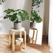 フェイクグリーン(モンステラ セメントポット)