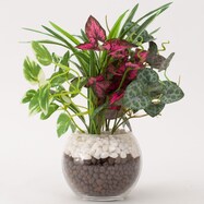 フェイクグリーン 寄せ植え ガラスポット(グリーンヨセウエ ガラスポット2ソウ)