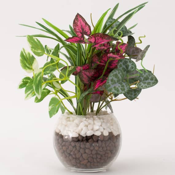 フェイクグリーン 寄せ植え ガラスポット(グリーンヨセウエ ガラスポット2ソウ) 1枚目画像