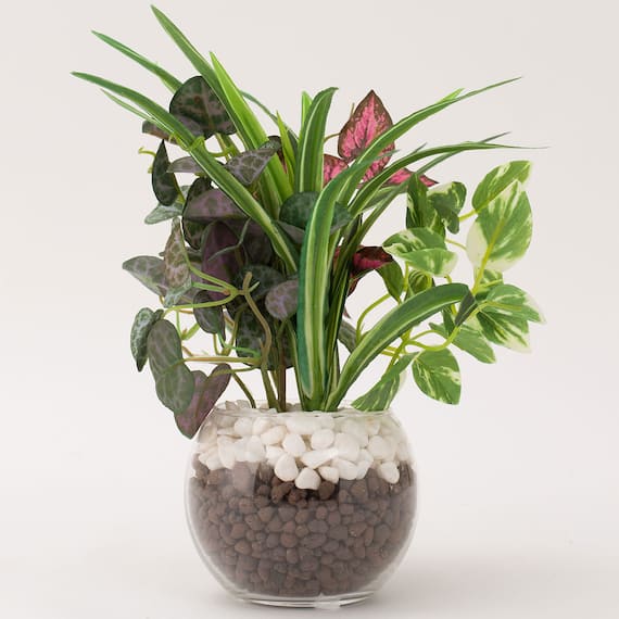 フェイクグリーン 寄せ植え ガラスポット(グリーンヨセウエ ガラスポット2ソウ) 2枚目画像