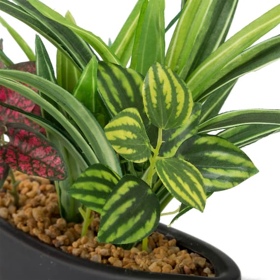 フェイクグリーン 寄せ植え セラミックポット(グリーンヨセウエ セラミックポットBK) 5枚目画像