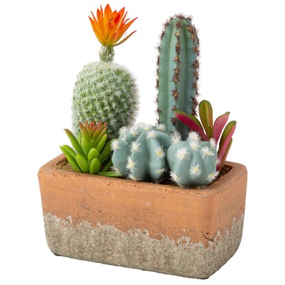 サボテン寄せ植え セメントポット 角 通販 ニトリネット 公式 家具 インテリア通販