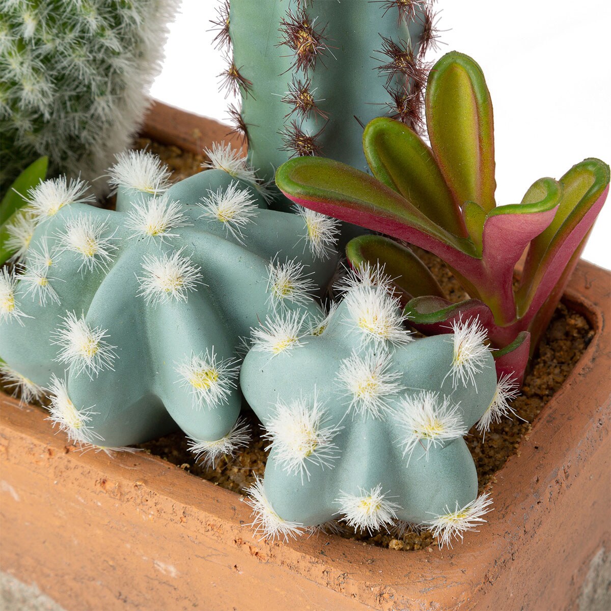サボテン寄せ植え セメントポット(角)通販 ニトリネット【公式】 家具・インテリア通販