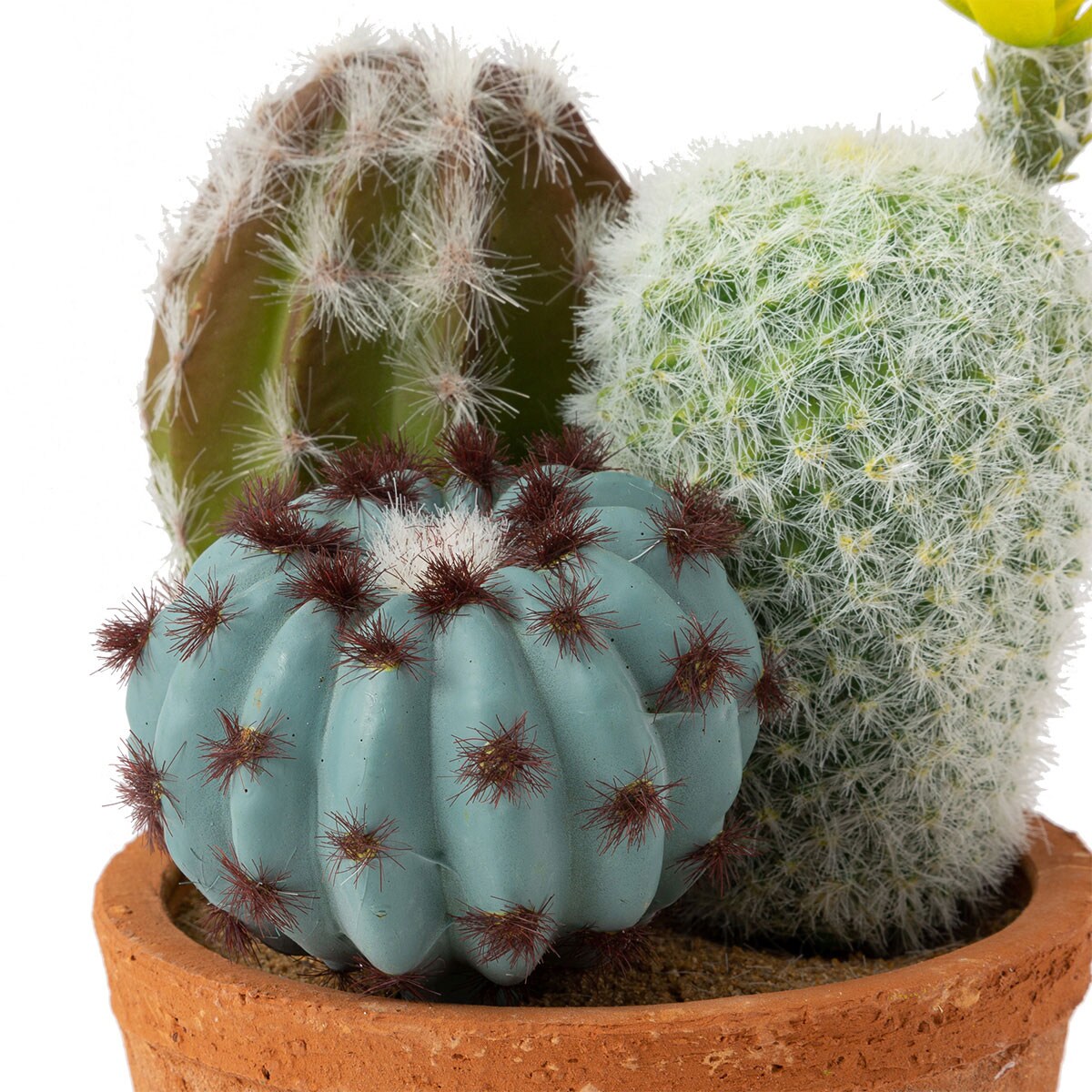 サボテン寄せ植え セメントポット 丸 通販 ニトリネット 公式 家具 インテリア通販