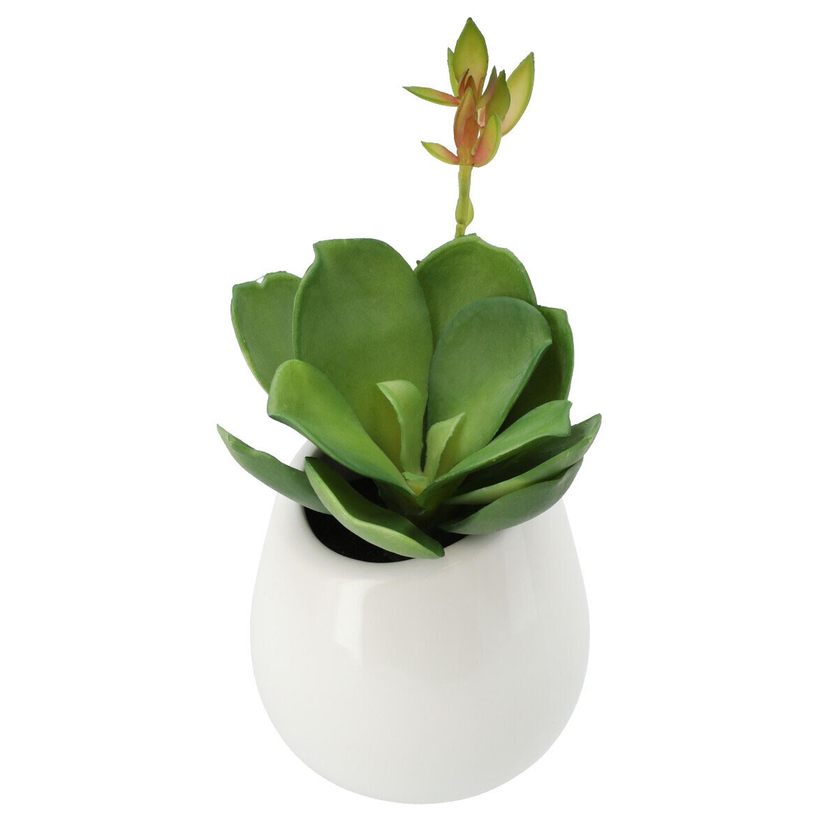 多肉 ハンギングセラミックポット通販 ニトリネット 公式 家具 インテリア通販