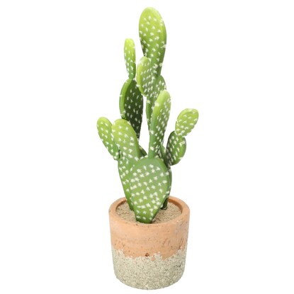 ウチワサボテン テラコッタポット通販 ニトリネット 公式 家具 インテリア通販