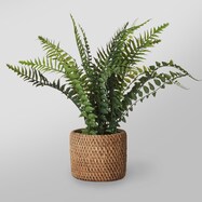 フェイクグリーン(シダセメントバスケット YC L)