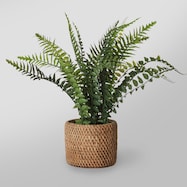 フェイクグリーン(シダセメントバスケット YC L)