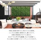 フェイクグリーン フェンス ガーデン 50cm(12枚入り) 3枚目画像