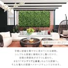 フェイクグリーン フェンス ガーデン 50cm(12枚入り) 3枚目画像