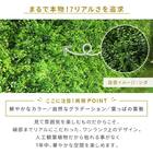 フェイクグリーン フェンス ガーデン 50cm(12枚入り) 5枚目画像
