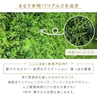 フェイクグリーン フェンス ガーデン 50cm(12枚入り) 5枚目画像