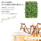 フェイクグリーン フェンス ガーデン 50cm(12枚入り) 7枚目画像