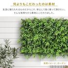 フェイクグリーン フェンス ガーデン 50cm(12枚入り) 11枚目画像