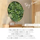 フェイクグリーン フェンス ドリーム 50cm(6枚入り) 3枚目画像