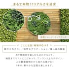 フェイクグリーン フェンス ドリーム 50cm(6枚入り) 5枚目画像