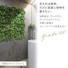 フェイクグリーン フェンス ドリーム 50cm(6枚入り) 7枚目画像