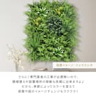 フェイクグリーン フェンス ドリーム 50cm(6枚入り) 10枚目画像