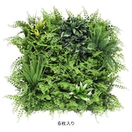 グリーンフェンスミックスシダ(50cm)