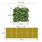 グリーンフェンス ミックスシダ 50cm(12枚入り) 2枚目画像