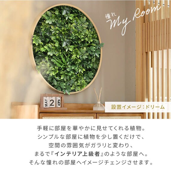 グリーンフェンス ミックスシダ 50cm(12枚入り) 3枚目画像