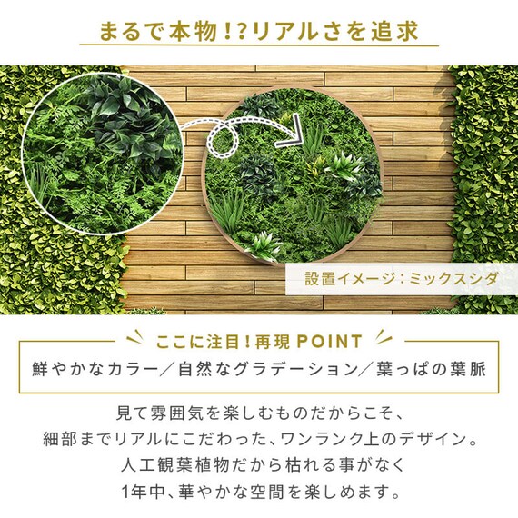 グリーンフェンス ミックスシダ 50cm(12枚入り) 5枚目画像