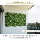 グリーンフェンス ミックスシダ 50cm(12枚入り) 8枚目画像