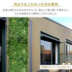 グリーンフェンス ミックスシダ 50cm(12枚入り) 11枚目画像