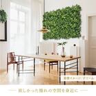 グリーンフェンス ミックスシダ 50cm(12枚入り) 16枚目画像