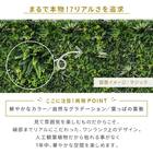 グリーンフェンス マジック 100cm(4枚入り) 5枚目画像