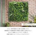 グリーンフェンス マジック 100cm(4枚入り) 10枚目画像