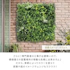 グリーンフェンス マジック 100cm(4枚入り) 10枚目画像