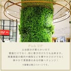 グリーンフェンス マジック 100cm(4枚入り) 15枚目画像