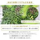 フェイクグリーン フェンス ワンダーランド 100cm(4枚入り) 5枚目画像