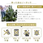 フェイクグリーン フェンス ワンダーランド 100cm(4枚入り) 6枚目画像