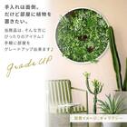 フェイクグリーン フェンス ワンダーランド 100cm(4枚入り) 7枚目画像