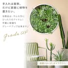 フェイクグリーン フェンス ワンダーランド 100cm(4枚入り) 7枚目画像