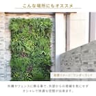 フェイクグリーン フェンス ワンダーランド 100cm(4枚入り) 8枚目画像