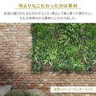 フェイクグリーン フェンス ワンダーランド 100cm(4枚入り) 11枚目画像