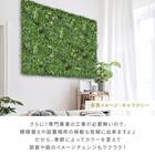 フェイクグリーン フェンス ギャラクシー 100cm(4枚入り) 10枚目画像