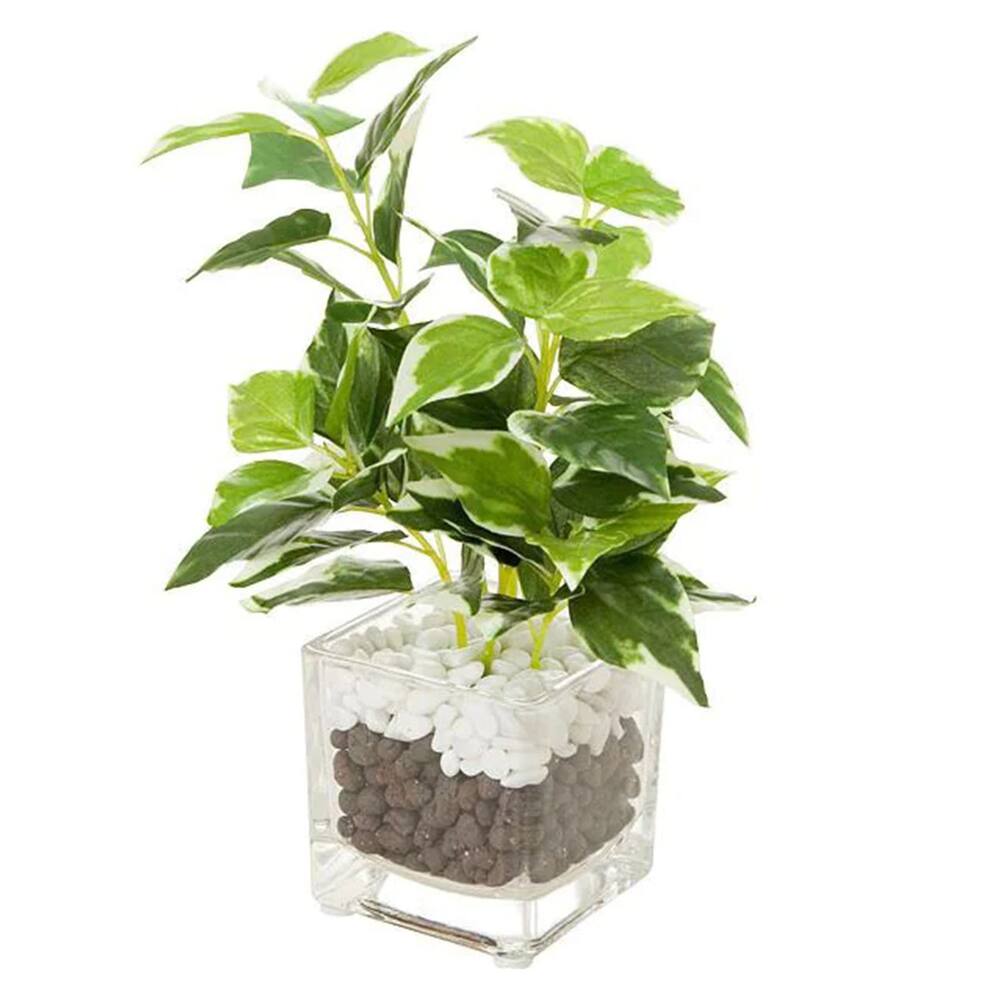 フェイクグリーン 観葉植物検索結果 ニトリネット 公式 家具 インテリア通販