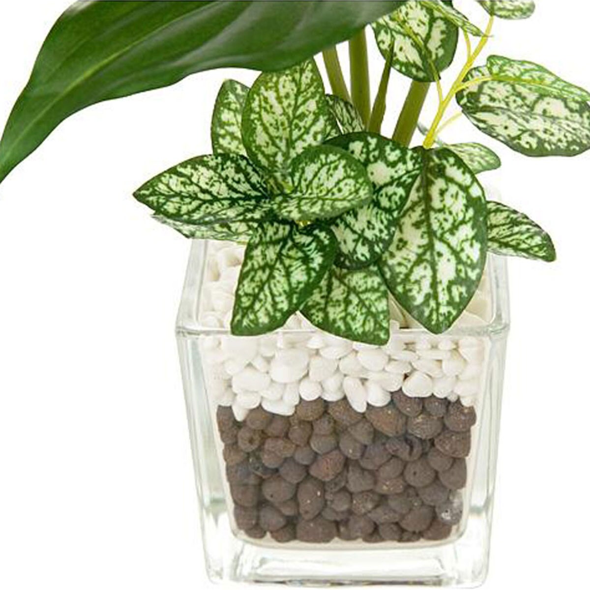 フェイクグリーン(クワズイモ ガラスポット) | ニトリネット【公式