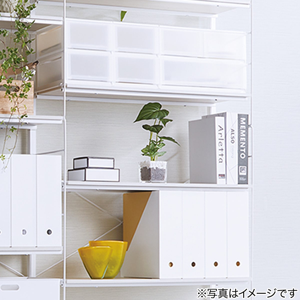 フェイクグリーン(クワズイモ ガラスポット) | ニトリネット【公式