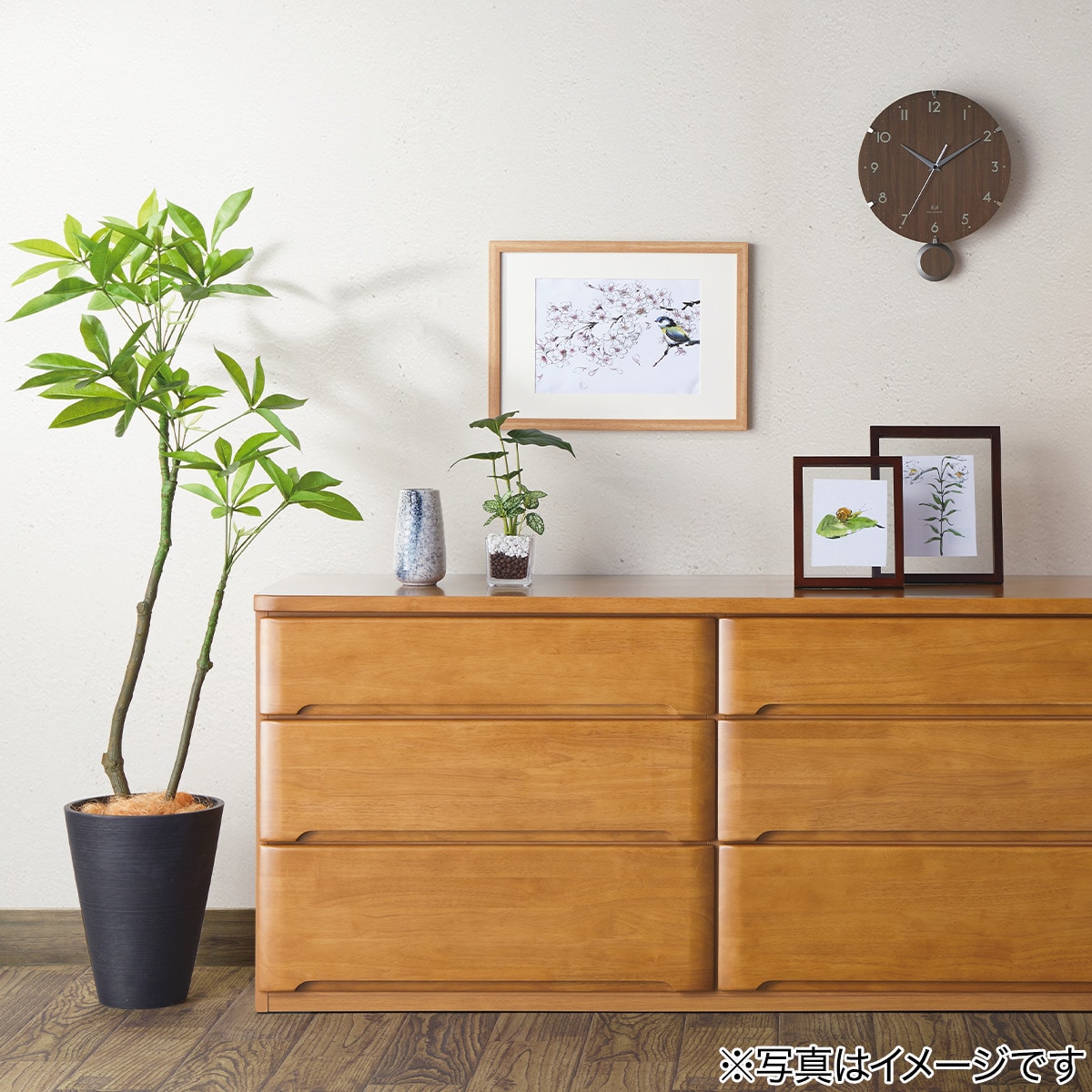 フェイクグリーン(クワズイモ ガラスポット) | ニトリネット【公式