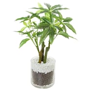 フェイクグリーン(パキラ ガラスポット)